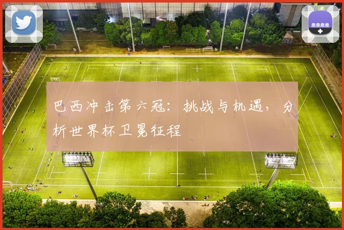 巴西冲击第六冠：挑战与机遇，分析世界杯卫冕征程