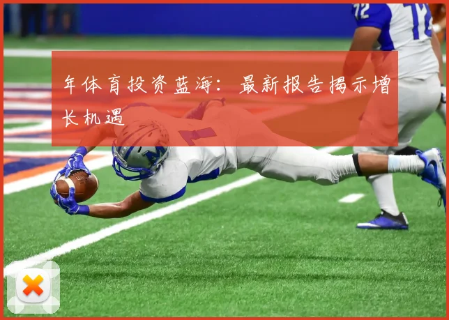 年体育投资蓝海：最新报告揭示增长机遇